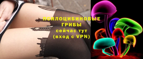 ГАЛЛЮЦИНОГЕННЫЕ ГРИБЫ Заводоуковск