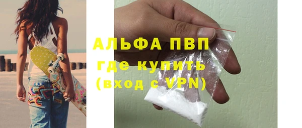 сатива Зерноград