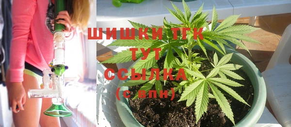 ГАЛЛЮЦИНОГЕННЫЕ ГРИБЫ Заводоуковск