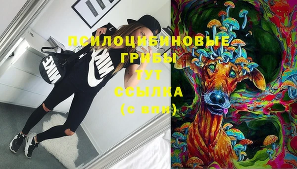 тгк Козельск