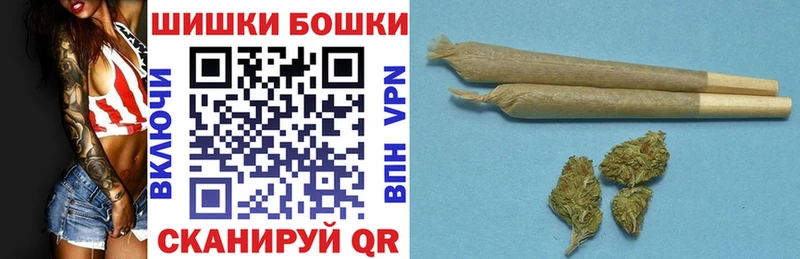 Каннабис сатива  Купить закладки  Каргополь 